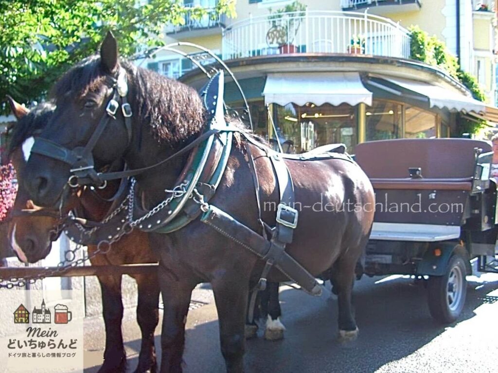ノイシュヴァンシュタイン城に向かう馬車