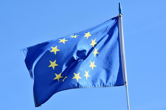 EUの旗
